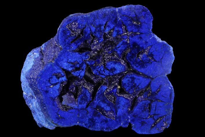 Vibrant, Cut/Polished Azurite Nodule - Siberia #93457